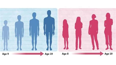 what age do girls start liking boys|girls puberty timeline.